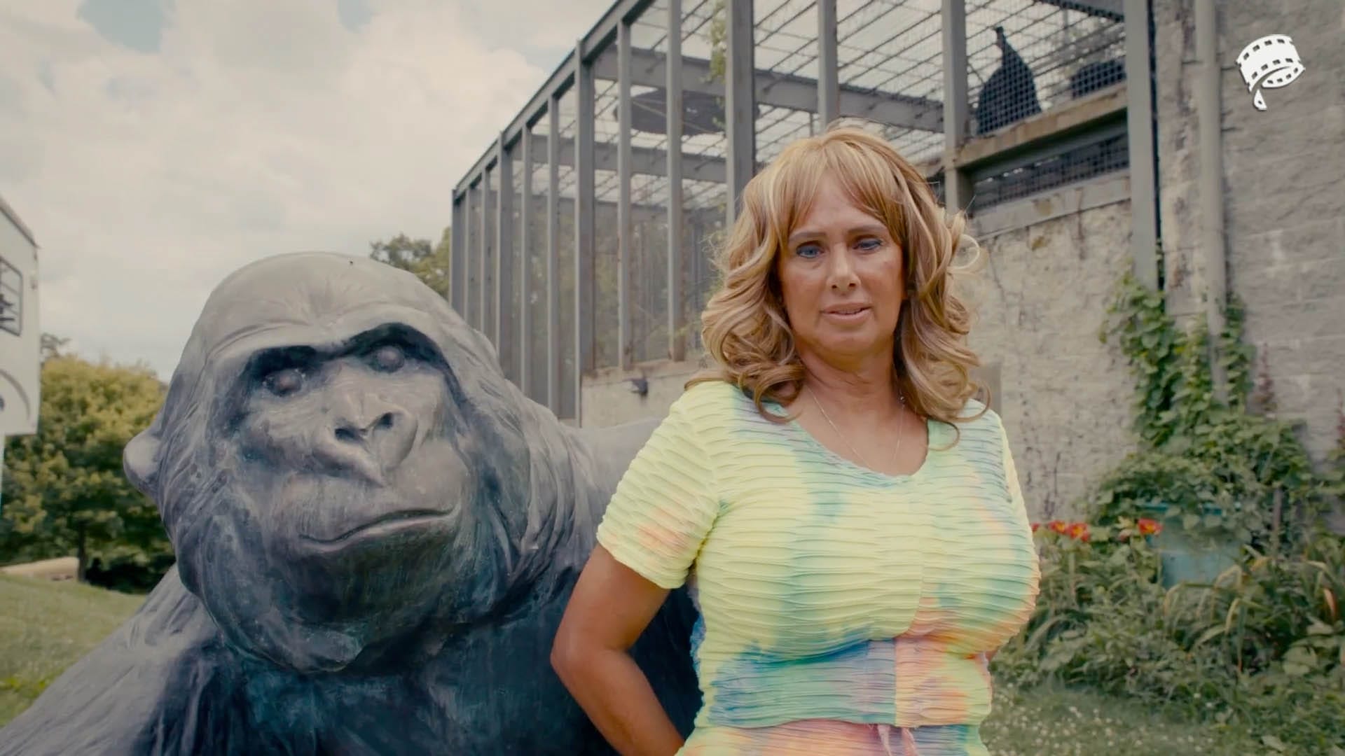 ChimpCrazy_WebFeaturedImage.jpg